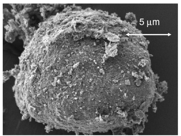 Spezialgrafit für Li-Ionen-Batterien [21]